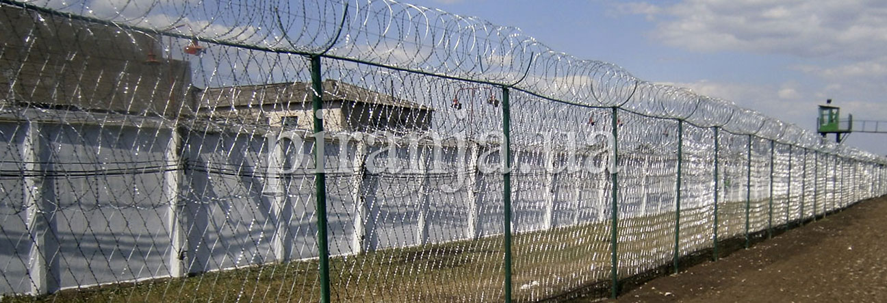 Забор из колючей сетки Пиранья