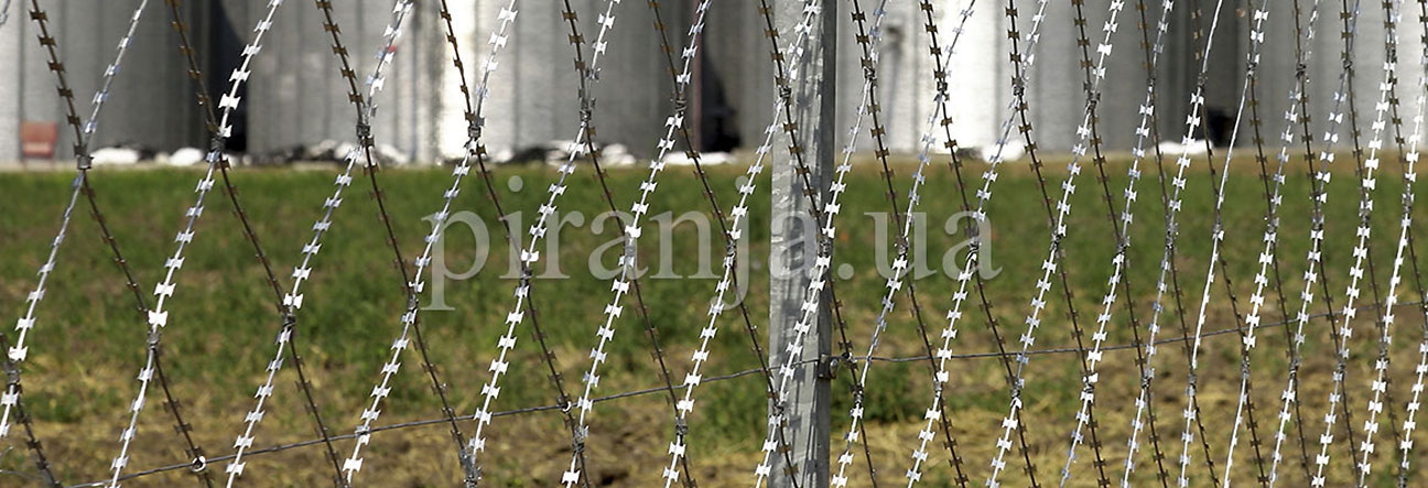 Колючая сетка Пиранья