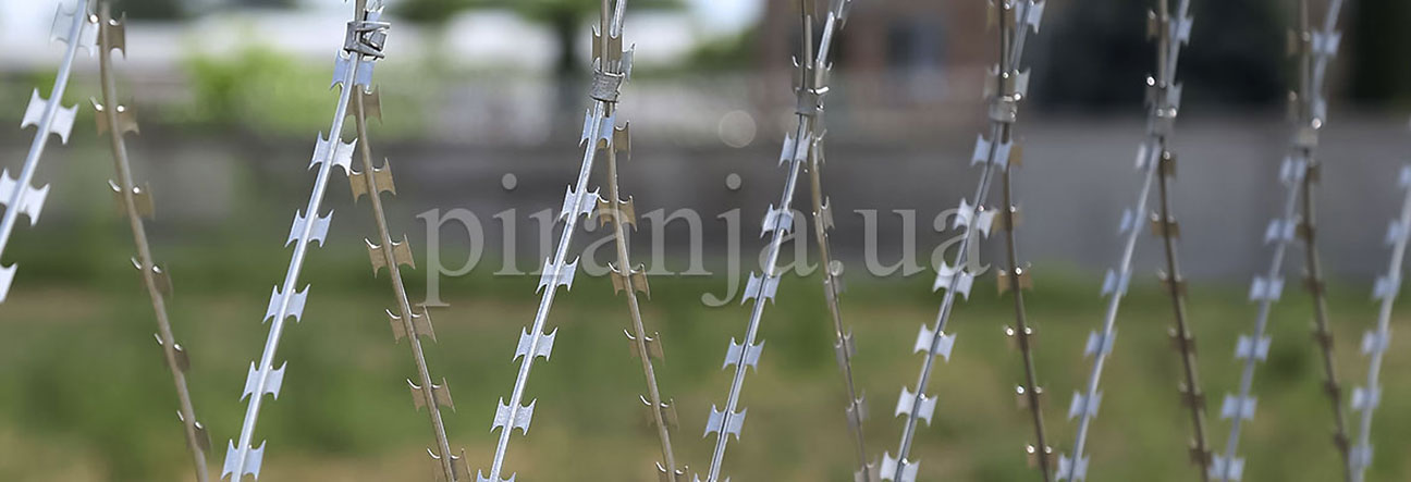 Сетка Пиранья крупным планом