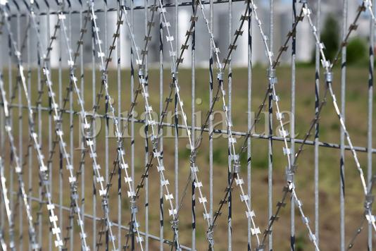 Забор из сварной сетки и сетка колючая Пиранья