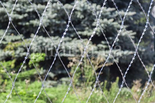 Сетка колючая Пиранья 2х10