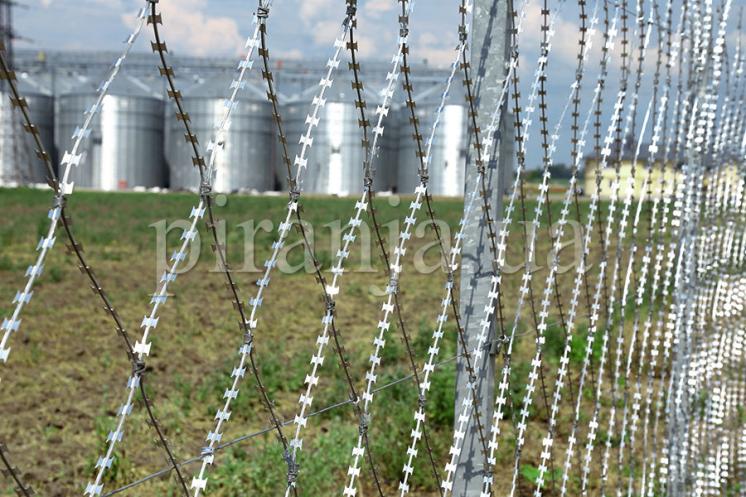 Ограждение из колючей сетки Пиранья
