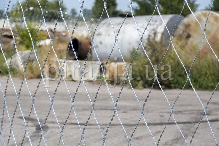 Сетка колючая Пиранья 2,4х10