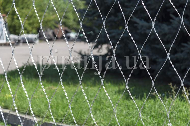Сетка колючая Пиранья 2,7х10