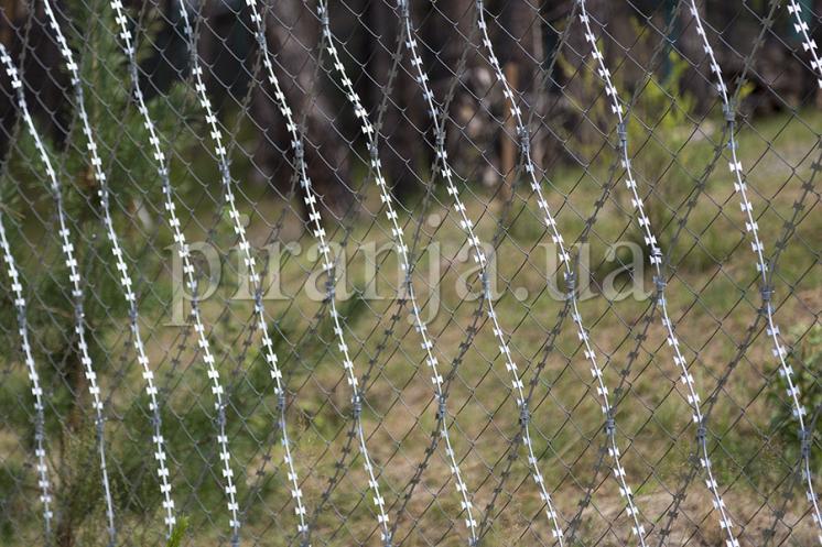 Усиление ограждений колючей сеткой Пиранья
