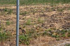 Проволока натяжная на столбах ограждения