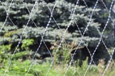 Сетка колюче-режущая Пиранья 2х10