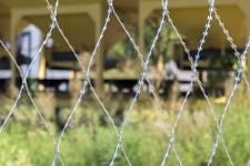 Сетка Пиранья 2х10 крупным планом