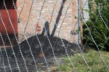 Сетка колючая Пиранья 2х10 из проволоки колючей Егоза Кайман