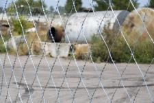 Сетка колюче-режущая Пиранья 2,4х10