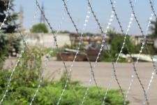 Сетка Пиранья 2,4х10 крупным планом