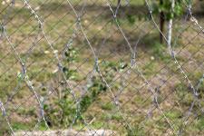 Сетка рабица и сетка колючая Пиранья