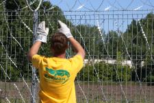 Установка сетки колючей Пиранья на забор из сварной сетки