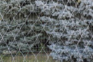 Welded wire grid fence and Piranha barbed mesh